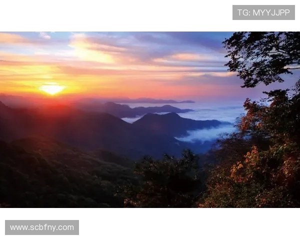 吴丽的攀岩人生：在高峰与深渊之间的深度对话与心灵探索