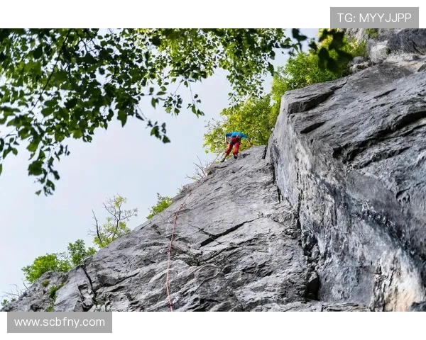 重庆攀岩队的战斗精神与技术解析深度探索攀岩运动的魅力与挑战