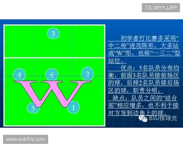 重庆排球队反击战术深度分析与实战应用探讨